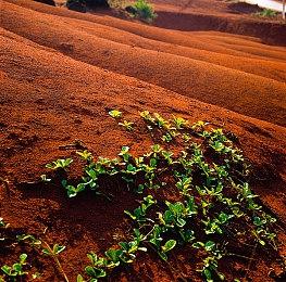 《怪物猎人：荒野》更新将加入DLSS 4和FSR 4支持